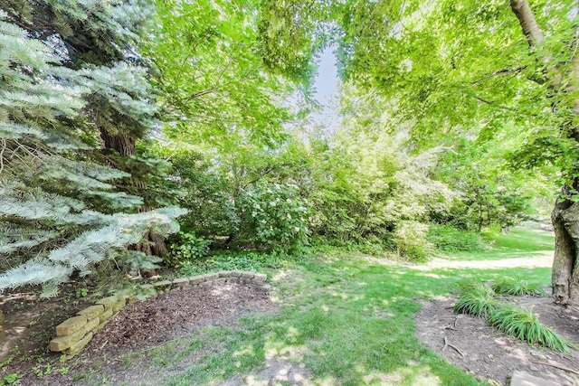 2302 Sandy Creek Dr, Algonquin, IL 60102 - view of yard