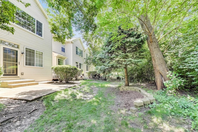 2302 Sandy Creek Dr, Algonquin, IL 60102 - view of yard