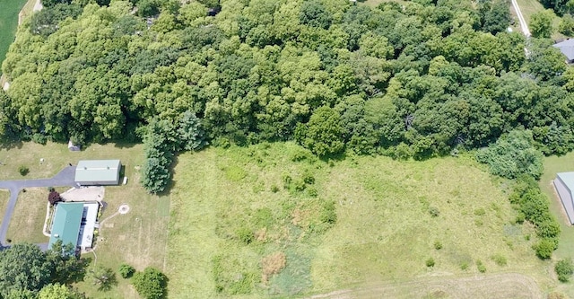 6119 Little Galilee Rd, Clinton, IL 61727 - view of property location