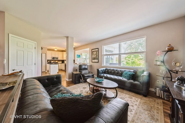 1550 W Ludington Cir, Romeoville, IL 60446 - living room featuring light wood-type flooring and baseboards