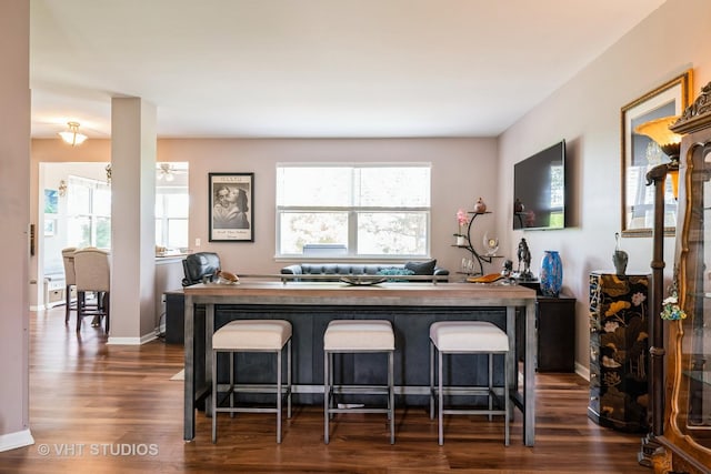 1550 W Ludington Cir, Romeoville, IL 60446 - bar area featuring dark wood-style floors and plenty of natural light