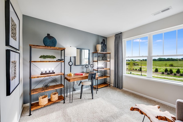 12124 Kelsey Dr, Huntley, IL 60142 - office with carpet flooring and baseboards