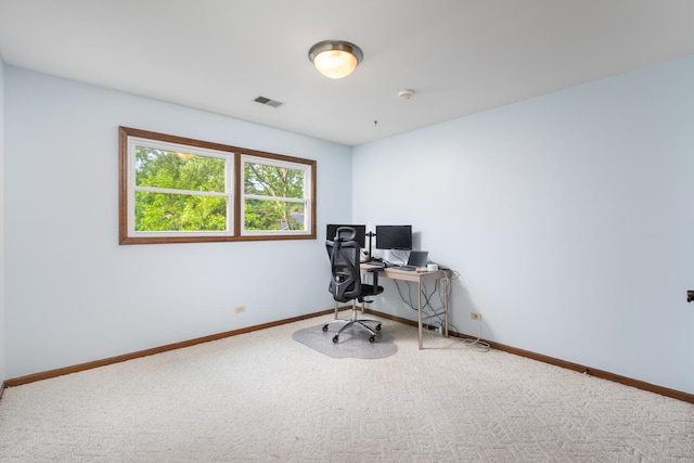 1386 Old Dominion Ct, Naperville, IL 60540 - home office with carpet floors and baseboards