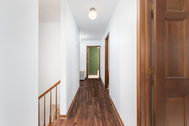 1386 Old Dominion Ct, Naperville, IL 60540 - hall with dark wood-style floors and baseboards