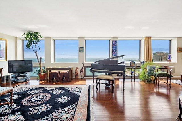 1110 N Lake Shore Dr Unit 20S, Chicago, IL 60611 - living area with hardwood / wood-style floors and plenty of natural light