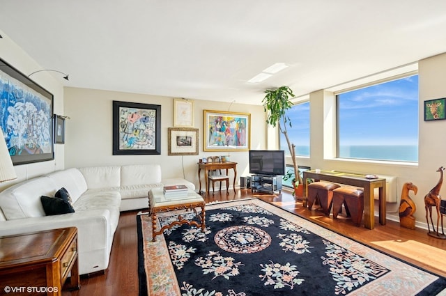 1110 N Lake Shore Dr Unit 20S, Chicago, IL 60611 - living area featuring wood finished floors