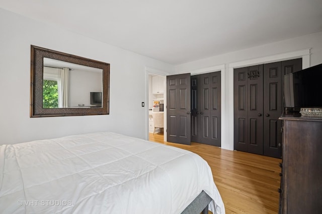 313 Hawthorn Ave Unit F, Glencoe, IL 60022 - bedroom with two closets and wood finished floors