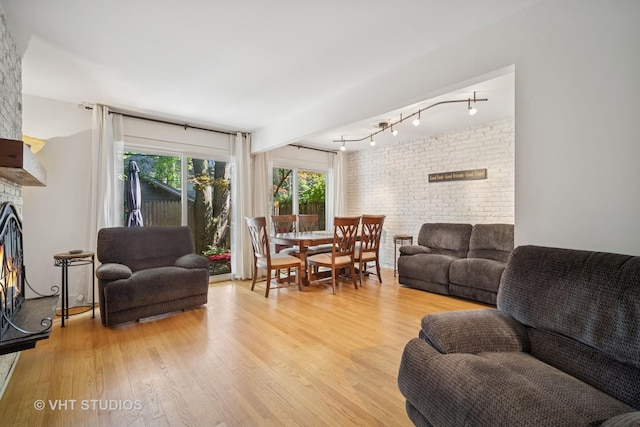 313 Hawthorn Ave Unit F, Glencoe, IL 60022 - living room featuring a fireplace, light wood finished floors, and rail lighting