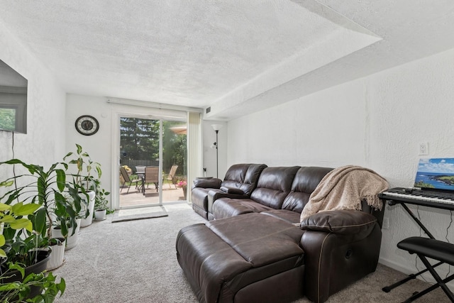 3551 Marseilles Ln, Hazel Crest, IL 60429 - living area with carpet flooring, a textured ceiling, and a textured wall