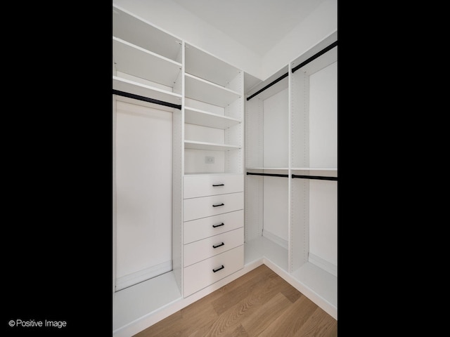 2832 N Racine Ave Unit 2W, Chicago, IL 60657 - walk in closet featuring wood finished floors