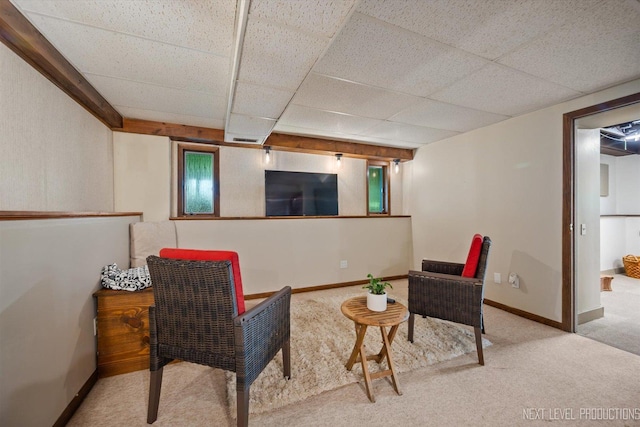 5N597 Hidden Springs Dr, Saint Charles, IL 60175 - photo 11