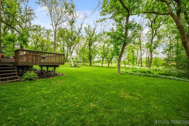 5N597 Hidden Springs Dr, Saint Charles, IL 60175 - photo 26