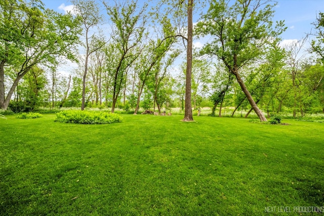 5N597 Hidden Springs Dr, Saint Charles, IL 60175 - photo 27