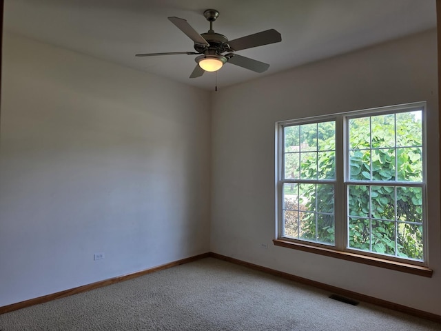 10381 Country Ln, Beach Park, IL 60087 - photo 40
