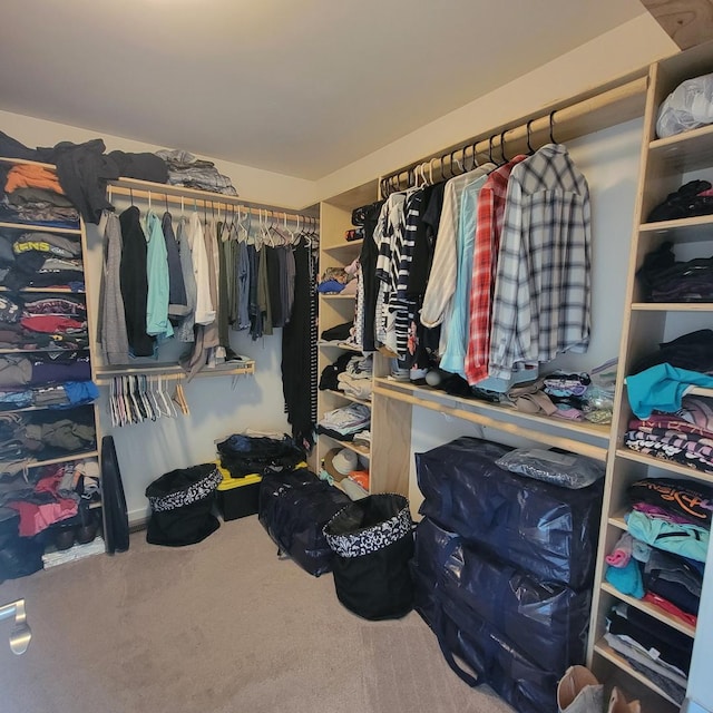 1506 Saddle Run Ln, Beecher, IL 60401 - spacious closet with carpet floors