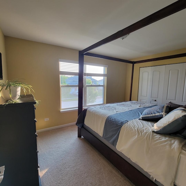 1506 Saddle Run Ln, Beecher, IL 60401 - bedroom with carpet floors and a closet