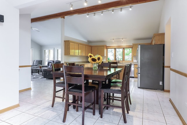 8124 Glenbrook Pl, Tinley Park, IL 60487 - dining room with track lighting, vaulted ceiling, healthy amount of natural light, and light marble finish floors