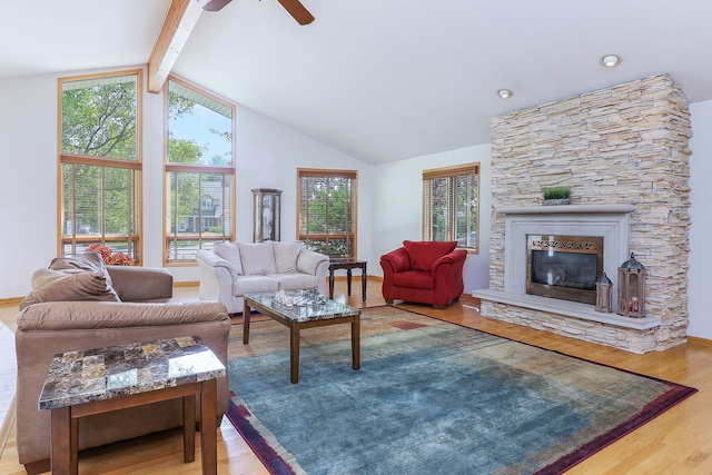 8124 Glenbrook Pl, Tinley Park, IL 60487 - living area with ceiling fan, wood finished floors, and a fireplace