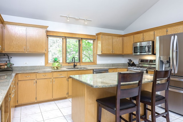 8124 Glenbrook Pl, Tinley Park, IL 60487 - kitchen with stainless steel appliances, a kitchen bar, vaulted ceiling, light stone counters, and track lighting