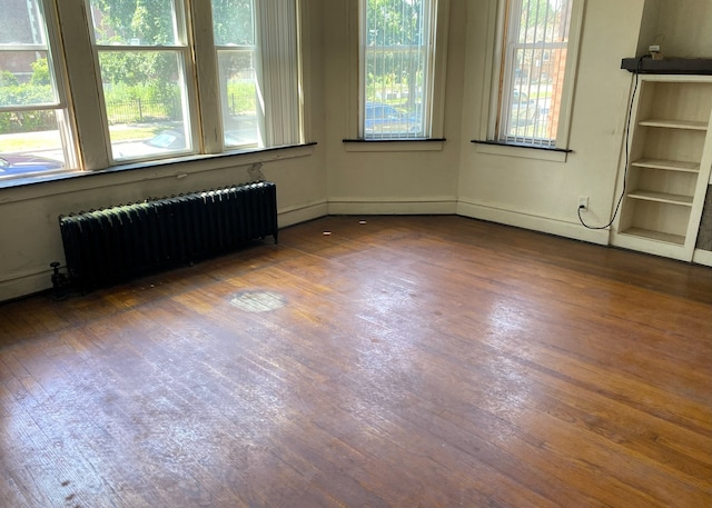 108 W 81st St, Chicago, IL 60620 - empty room featuring radiator, plenty of natural light, and wood finished floors