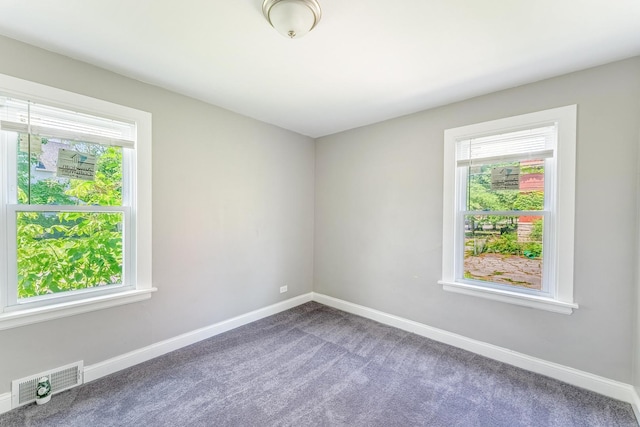 58 W 118th St, Chicago, IL 60628 - carpeted spare room with baseboards