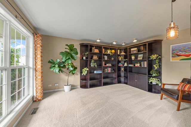 1644 Prairieview Blvd, Bolingbrook, IL 60490 - living area with carpet flooring and baseboards