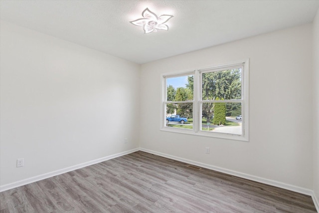 113 New Brunswick Ln, Poplar Grove, IL 61065 - spare room with wood finished floors and baseboards