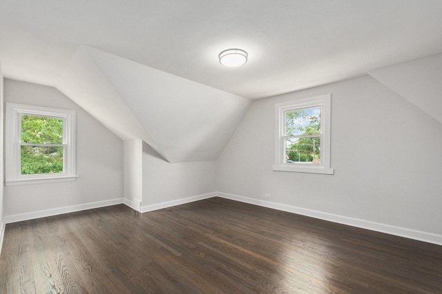 1225 Highridge Pkwy, Westchester, IL 60154 - bonus room featuring plenty of natural light, dark wood finished floors, and lofted ceiling
