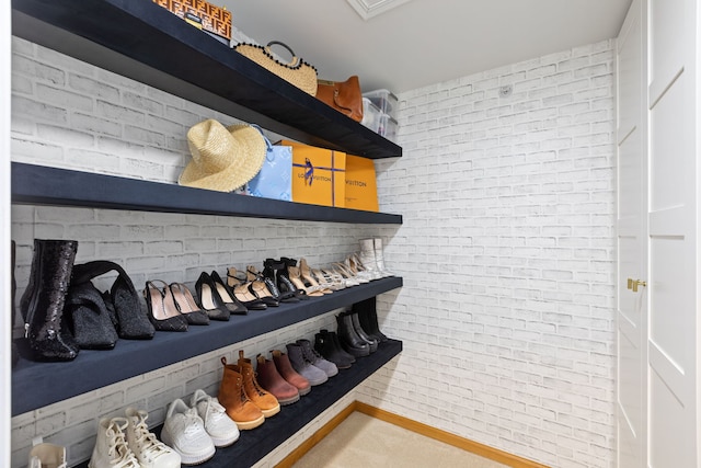 2599 Oak Dr Unit 2599, West Dundee, IL 60118 - view of spacious closet