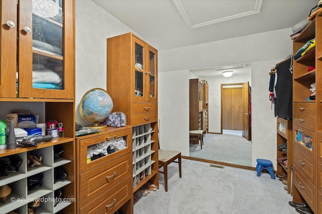 3250 Platte Trl, Olympia Fields, IL 60461 - walk in closet with attic access and light carpet