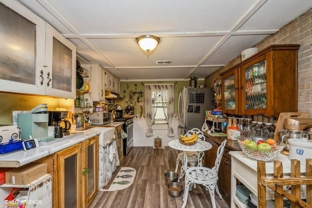 8316 Howe Rd, Wonder Lake, IL 60097 - kitchen with stainless steel appliances, light countertops, dark wood-type flooring, under cabinet range hood, and glass insert cabinets