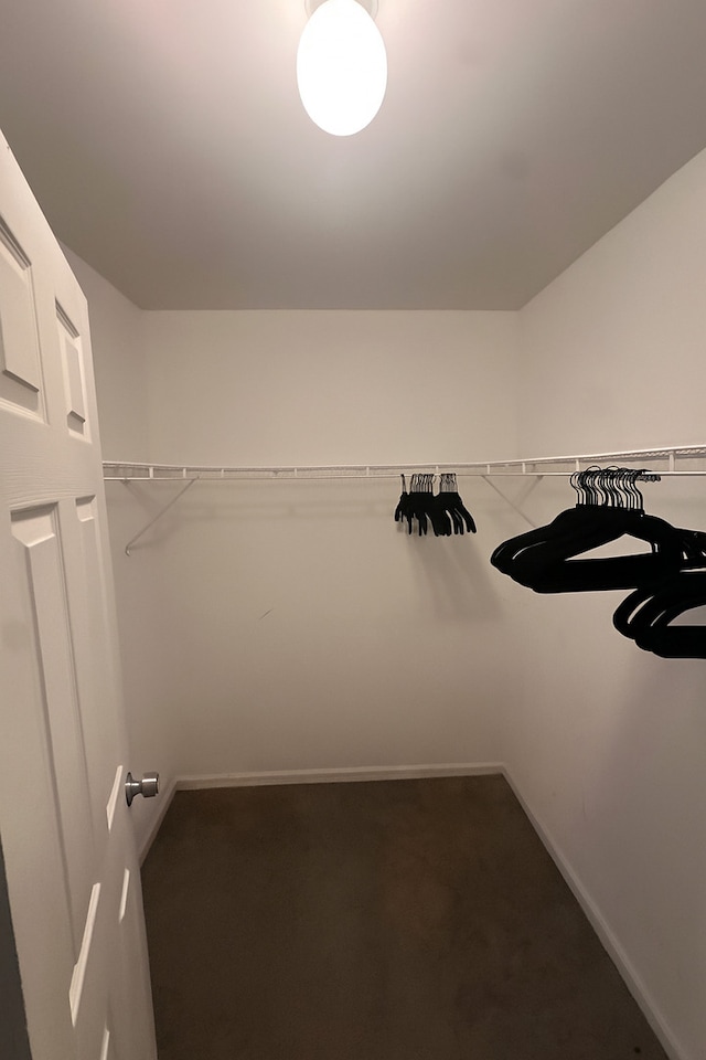 3133 Heritage Blvd, Matteson, IL 60443 - spacious closet featuring carpet