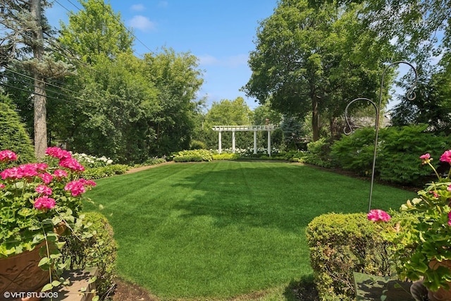 500 E Mayfair Rd, Arlington Heights, IL 60005 - view of green lawn with a pergola