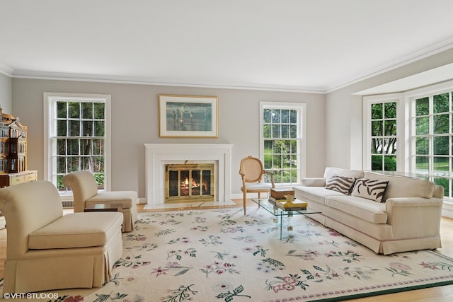 500 E Mayfair Rd, Arlington Heights, IL 60005 - living room featuring ornamental molding, healthy amount of natural light, a fireplace with flush hearth, and wood finished floors