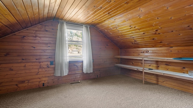 8033 S Pine St, Dixon, IL 61021 - additional living space with wooden ceiling, carpet, wooden walls, lofted ceiling, and a relaxing sauna