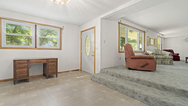 8033 S Pine St, Dixon, IL 61021 - entrance foyer with plenty of natural light and brick patterned flooring