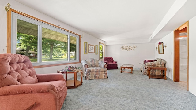8033 S Pine St, Dixon, IL 61021 - carpeted living room with healthy amount of natural light