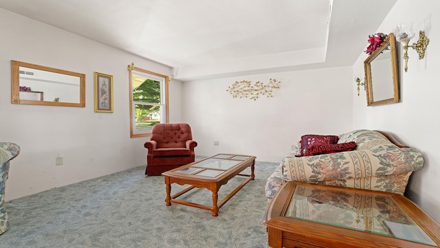 8033 S Pine St, Dixon, IL 61021 - living area with carpet floors
