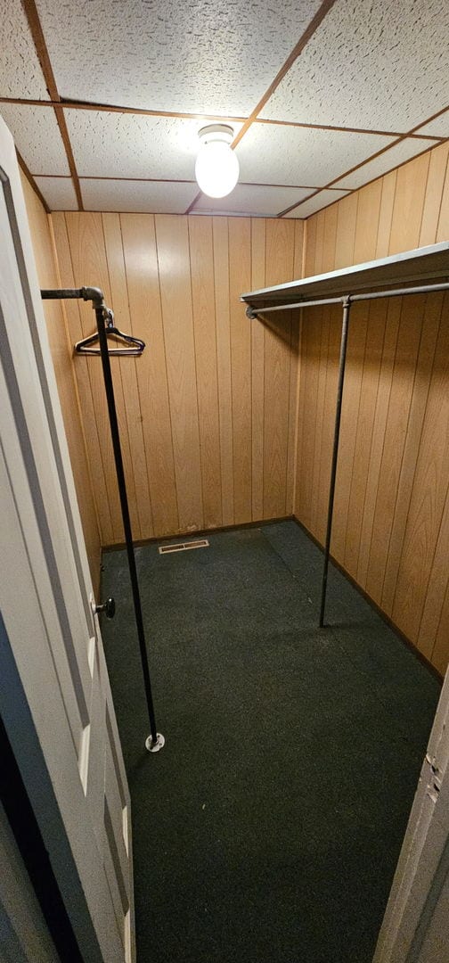 24 Mulberry St, Savanna, IL 61074 - spacious closet with a paneled ceiling