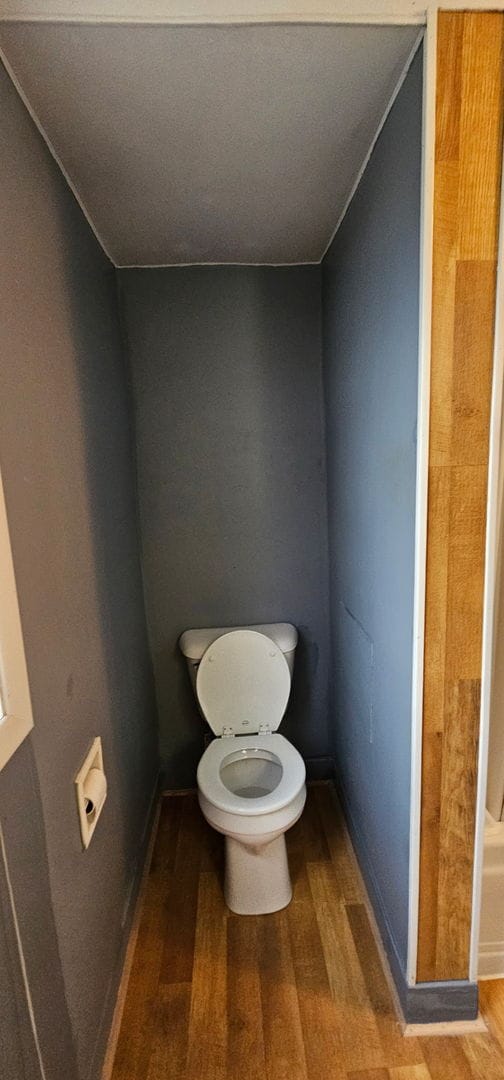 24 Mulberry St, Savanna, IL 61074 - bathroom featuring wood finished floors and toilet