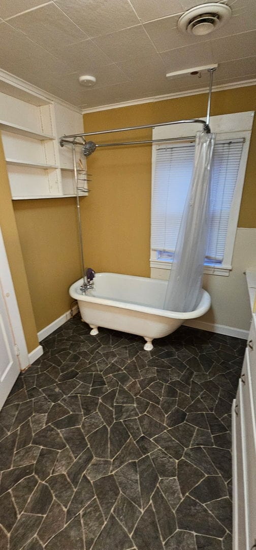 24 Mulberry St, Savanna, IL 61074 - full bath featuring vanity and ornamental molding