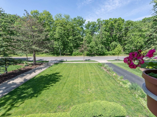 125 Thatcher Ave, River Forest, IL 60305 - view of green lawn