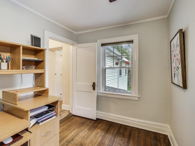 125 Thatcher Ave, River Forest, IL 60305 - unfurnished office featuring dark wood-style flooring and crown molding