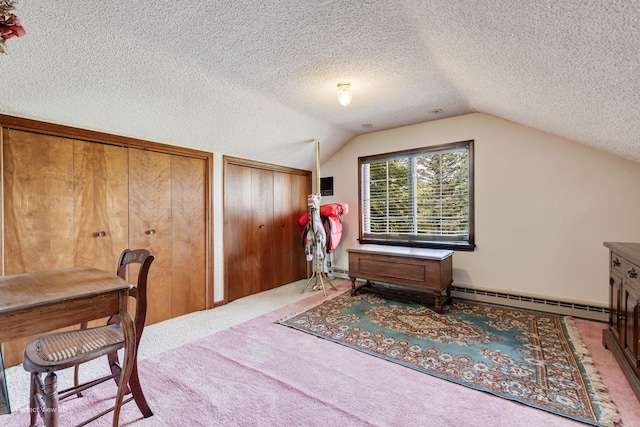 10766 E 7000n Rd, Grant Park, IL 60940 - carpeted home office featuring a baseboard radiator, vaulted ceiling, and a textured ceiling
