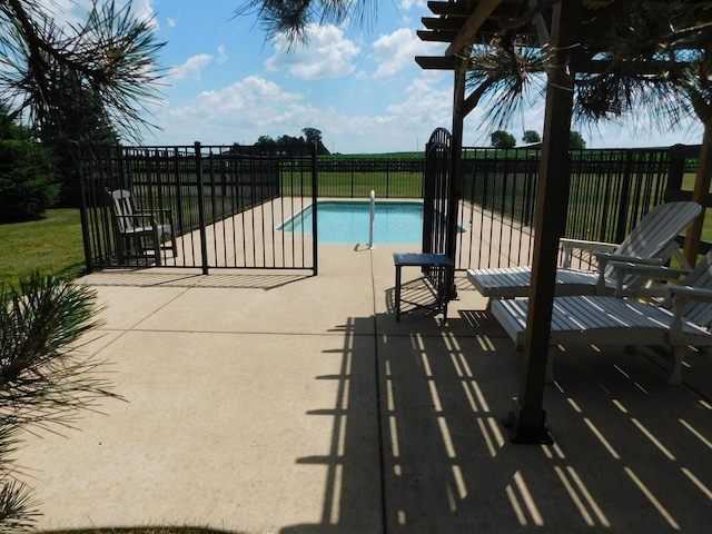 10766 E 7000n Rd, Grant Park, IL 60940 - view of pool with a patio area