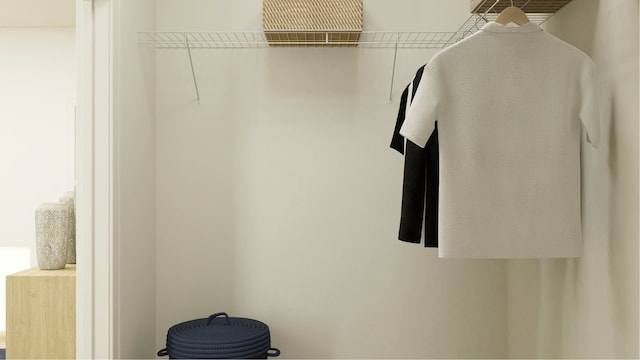 14919 S Dyer Ln, Plainfield, IL 60544 - view of walk in closet
