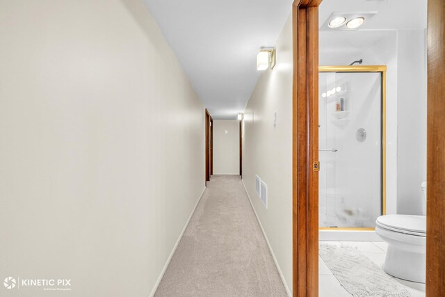 1213 Ryson Ct, Wheaton, IL 60189 - photo 23
