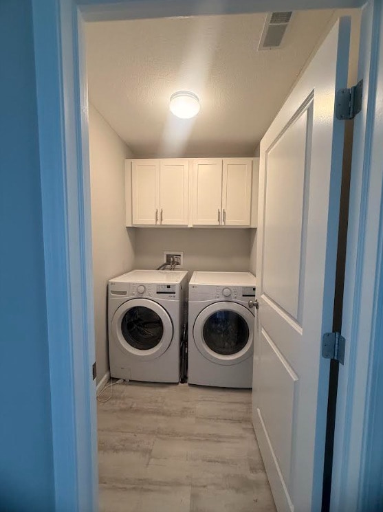 3938 Summer Sage Ct, Champaign, IL 61822 - laundry room featuring cabinet space, washing machine and clothes dryer, and light wood finished floors