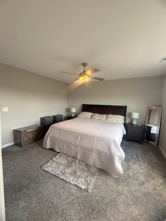3938 Summer Sage Ct, Champaign, IL 61822 - carpeted bedroom with baseboards and ceiling fan