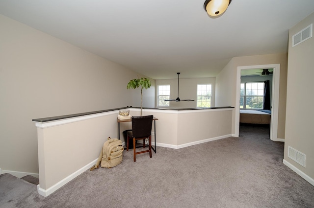 610 N Red Deer Rd, Round Lake, IL 60073 - interior space featuring carpet floors